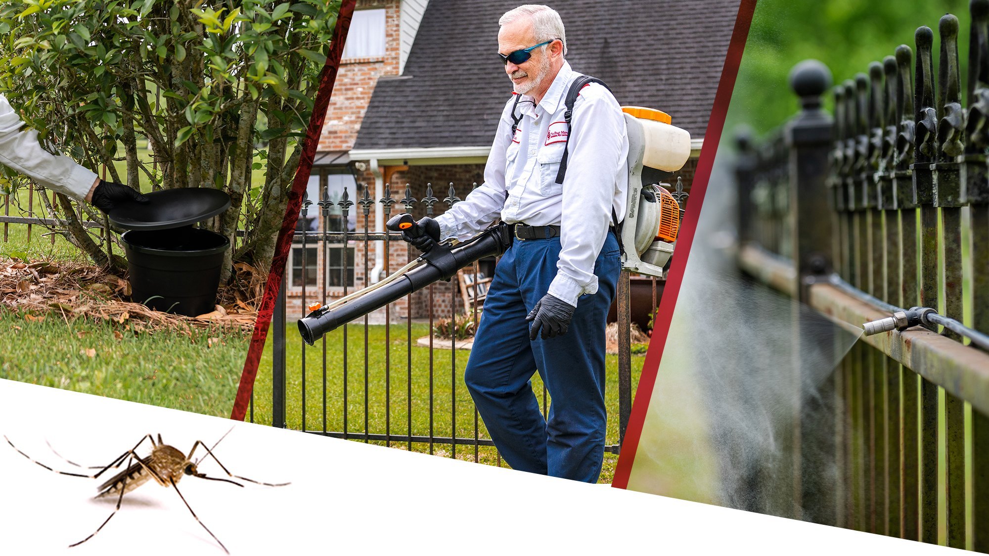 Mosquito Control Treatment
